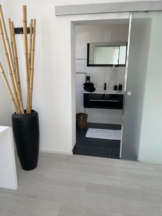 Apartments Saaldorf-Ferienhaus Mit 6 Apartments 45Qm-120Qm Direkt Am Thueringer Meer-Bleilochtalsperre 巴特洛本施泰因 外观 照片