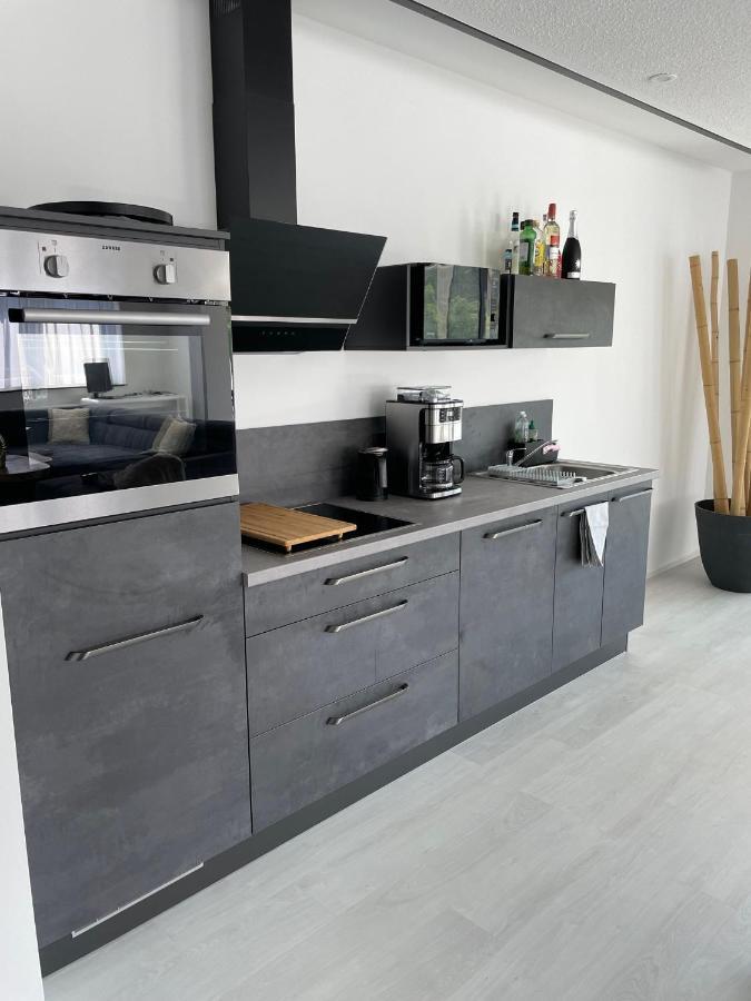 Apartments Saaldorf-Ferienhaus Mit 6 Apartments 45Qm-120Qm Direkt Am Thueringer Meer-Bleilochtalsperre 巴特洛本施泰因 外观 照片