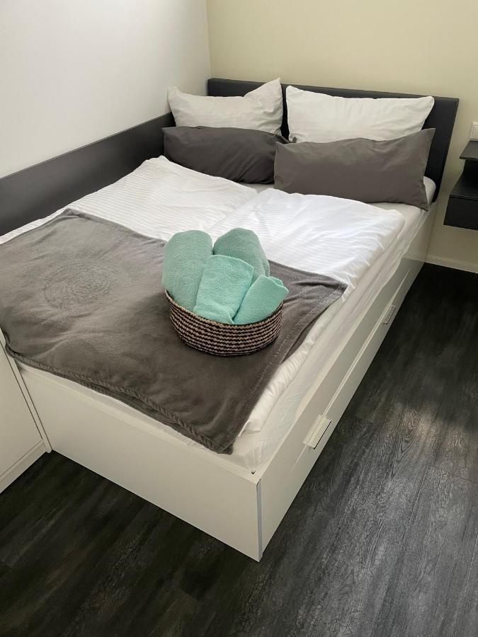 Apartments Saaldorf-Ferienhaus Mit 6 Apartments 45Qm-120Qm Direkt Am Thueringer Meer-Bleilochtalsperre 巴特洛本施泰因 外观 照片