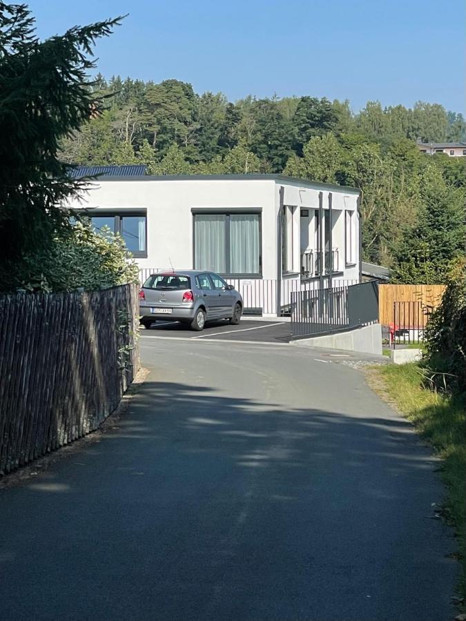 Apartments Saaldorf-Ferienhaus Mit 6 Apartments 45Qm-120Qm Direkt Am Thueringer Meer-Bleilochtalsperre 巴特洛本施泰因 外观 照片