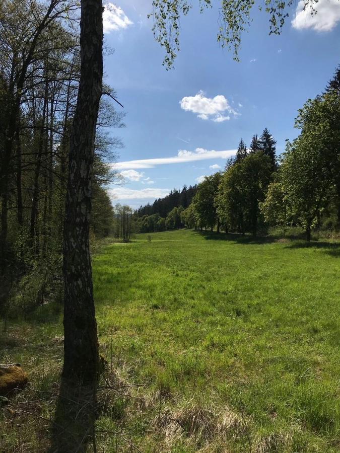 Apartments Saaldorf-Ferienhaus Mit 6 Apartments 45Qm-120Qm Direkt Am Thueringer Meer-Bleilochtalsperre 巴特洛本施泰因 外观 照片