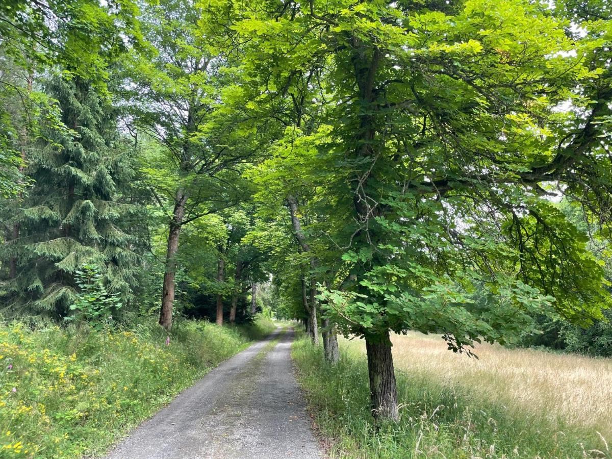 Apartments Saaldorf-Ferienhaus Mit 6 Apartments 45Qm-120Qm Direkt Am Thueringer Meer-Bleilochtalsperre 巴特洛本施泰因 外观 照片