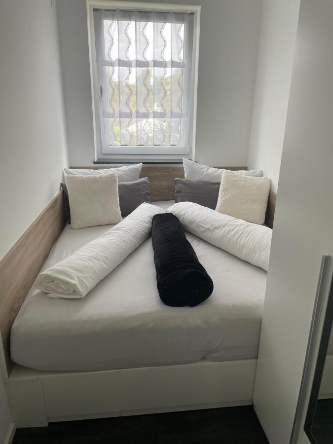 Apartments Saaldorf-Ferienhaus Mit 6 Apartments 45Qm-120Qm Direkt Am Thueringer Meer-Bleilochtalsperre 巴特洛本施泰因 外观 照片